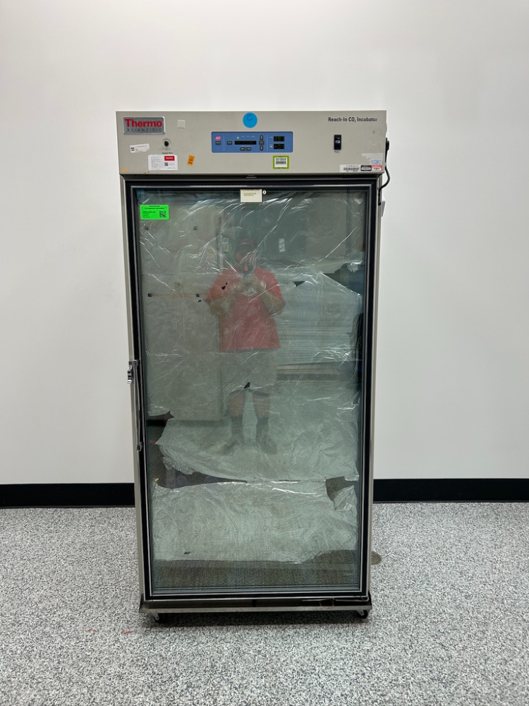 Image of Thermo Reach-In CO2 Incubator